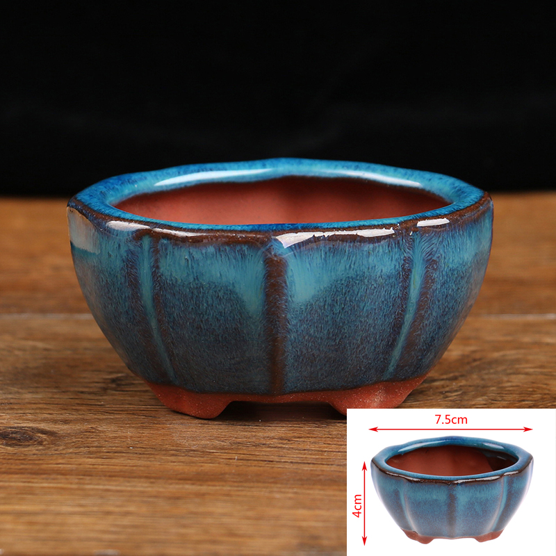 Bonsai Garden Chinese Garden - 1pcs Bonsai Mini Ceramic Flowerpot Succulent
