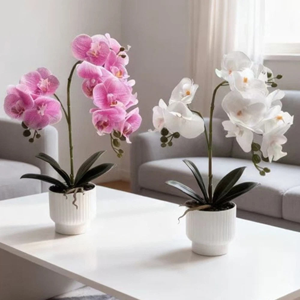 Bonsai Garden Kit - Multi-Bloom Simulated Butterfly Orchid DIY White