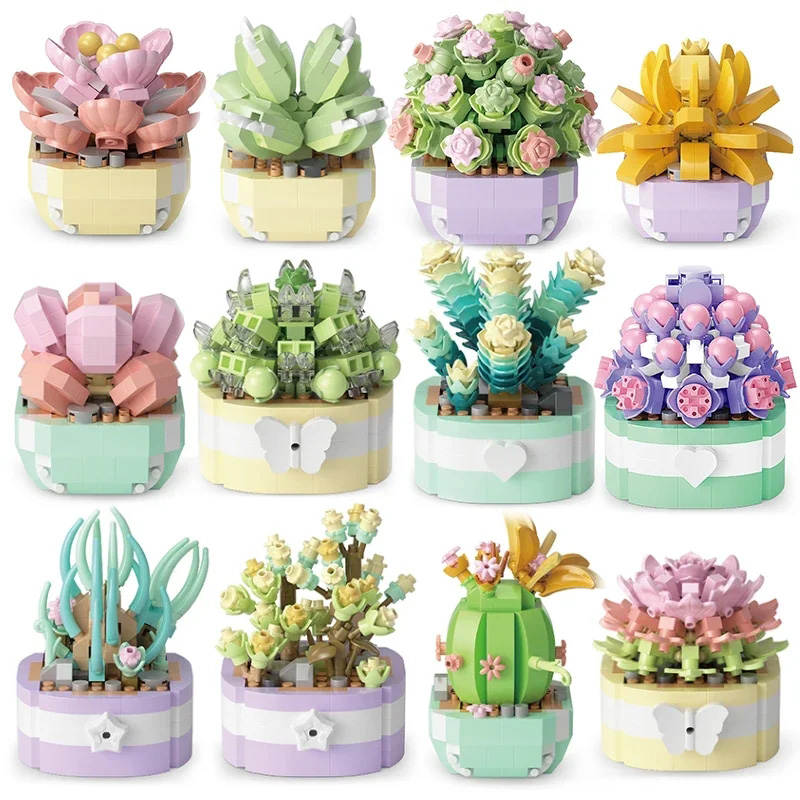 Bonsai Garden Kit - Flower Succulents Building Blocks Cactus Gypsophila