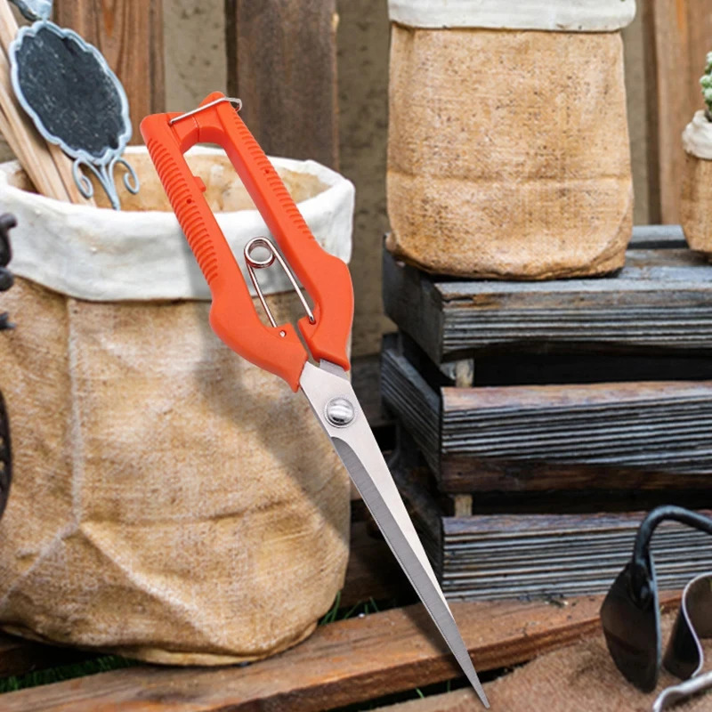 Multi-Purpose Pruning Scissors - Bonsai Garden Rake 评论和价格