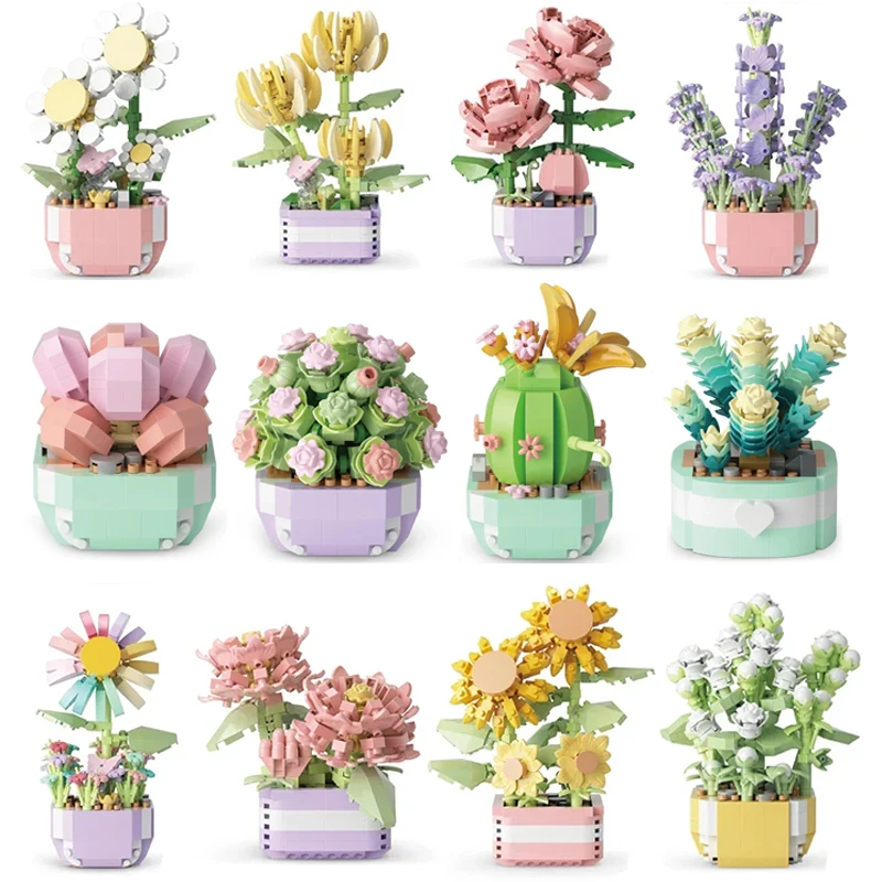 Flower Succulents Building Blo - Bonsai Garden Kit 评论和价格