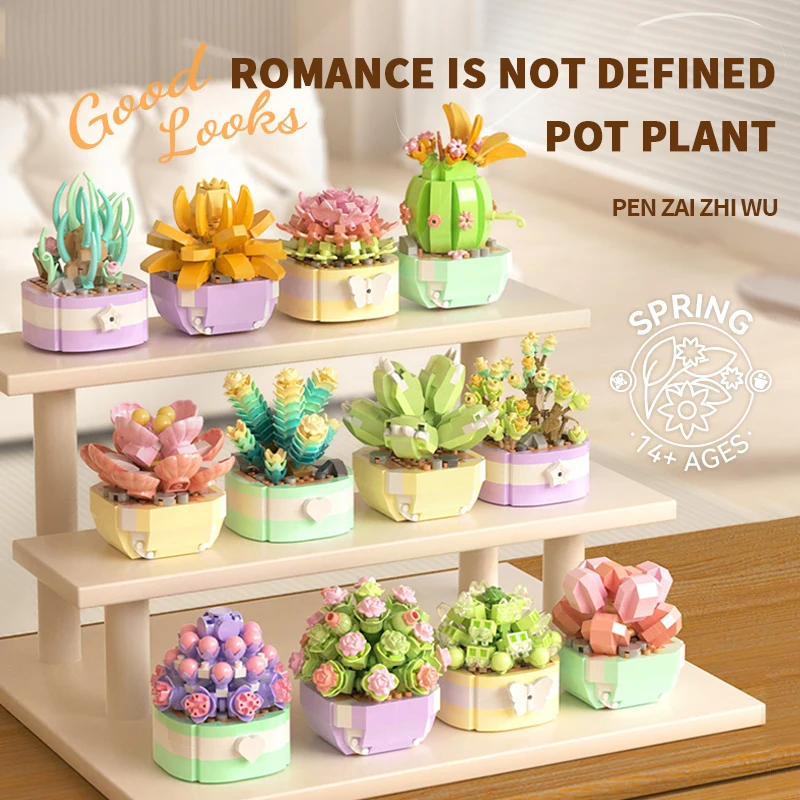 Flower Succulents Building Blo - Bonsai Garden Kit 评论和价格