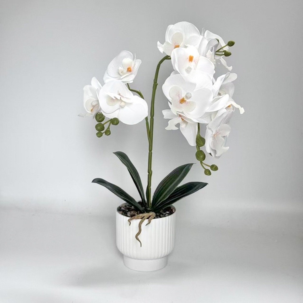 Multi-Bloom Simulated Butterfl - Bonsai Garden Kit 评论和价格