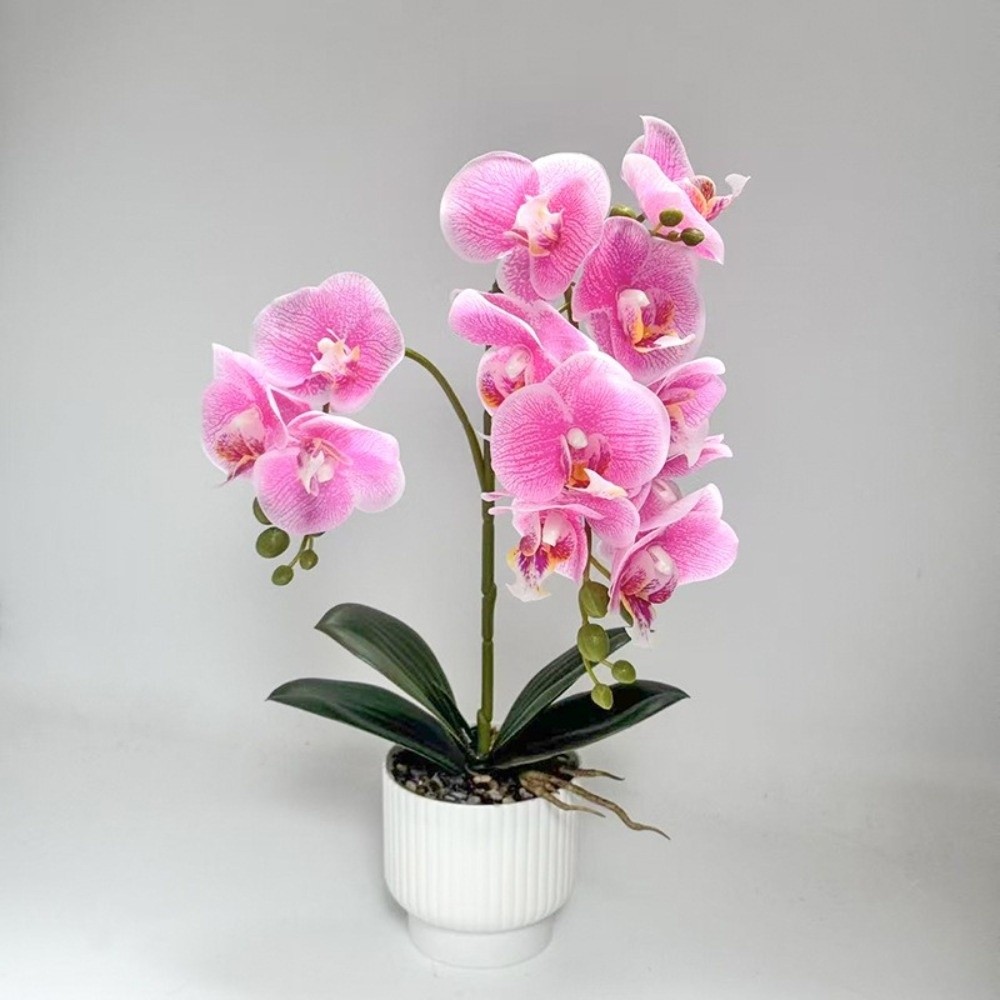 Multi-Bloom Simulated Butterfl - Bonsai Garden Kit 评论和价格