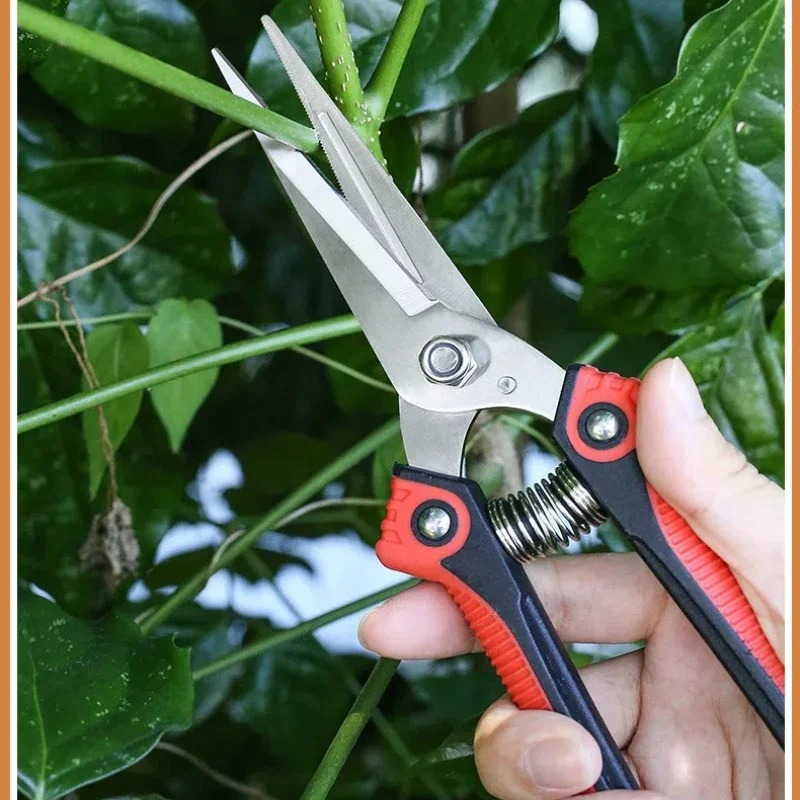 NEWSHARK Stainless Steel Pruni - Bonsai Garden Rake 评论和价格