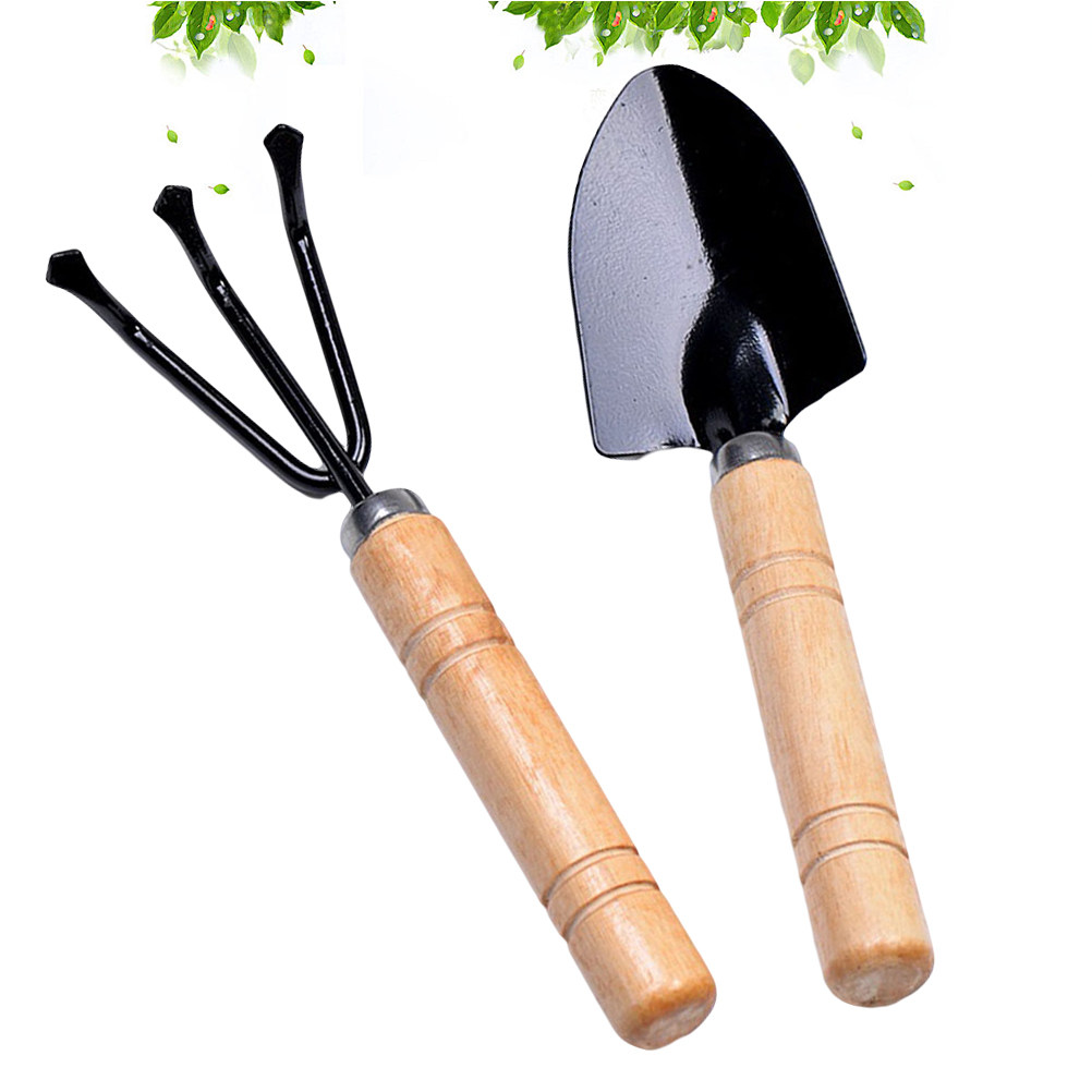 2Pcs Garden Tools Kit Mini Woo - Bonsai Garden Rake 评论和价格