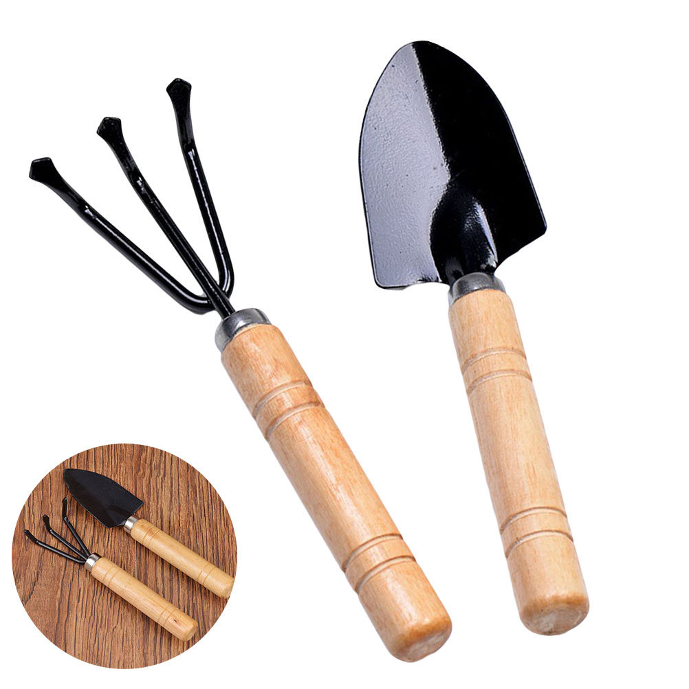 2Pcs Garden Tools Kit Mini Woo - Bonsai Garden Rake 评论和价格
