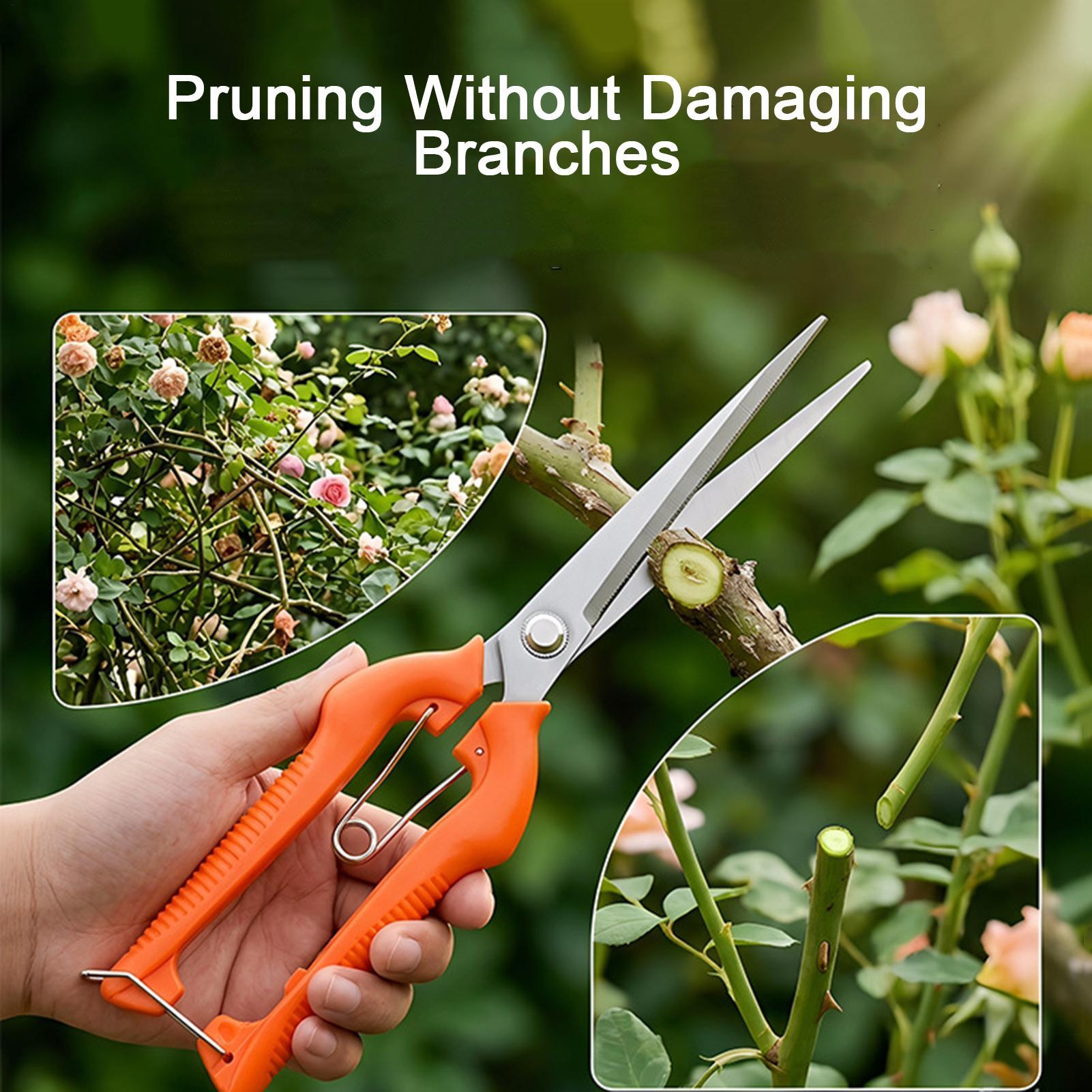 Pruning Shears Grape Scissors  - Bonsai Garden Rake 评论和价格