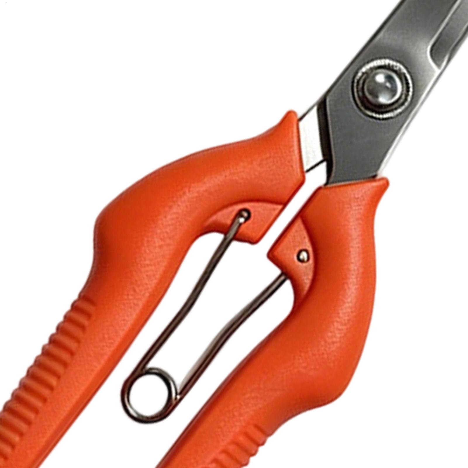 Pruning Shears Grape Scissors  - Bonsai Garden Rake 评论和价格