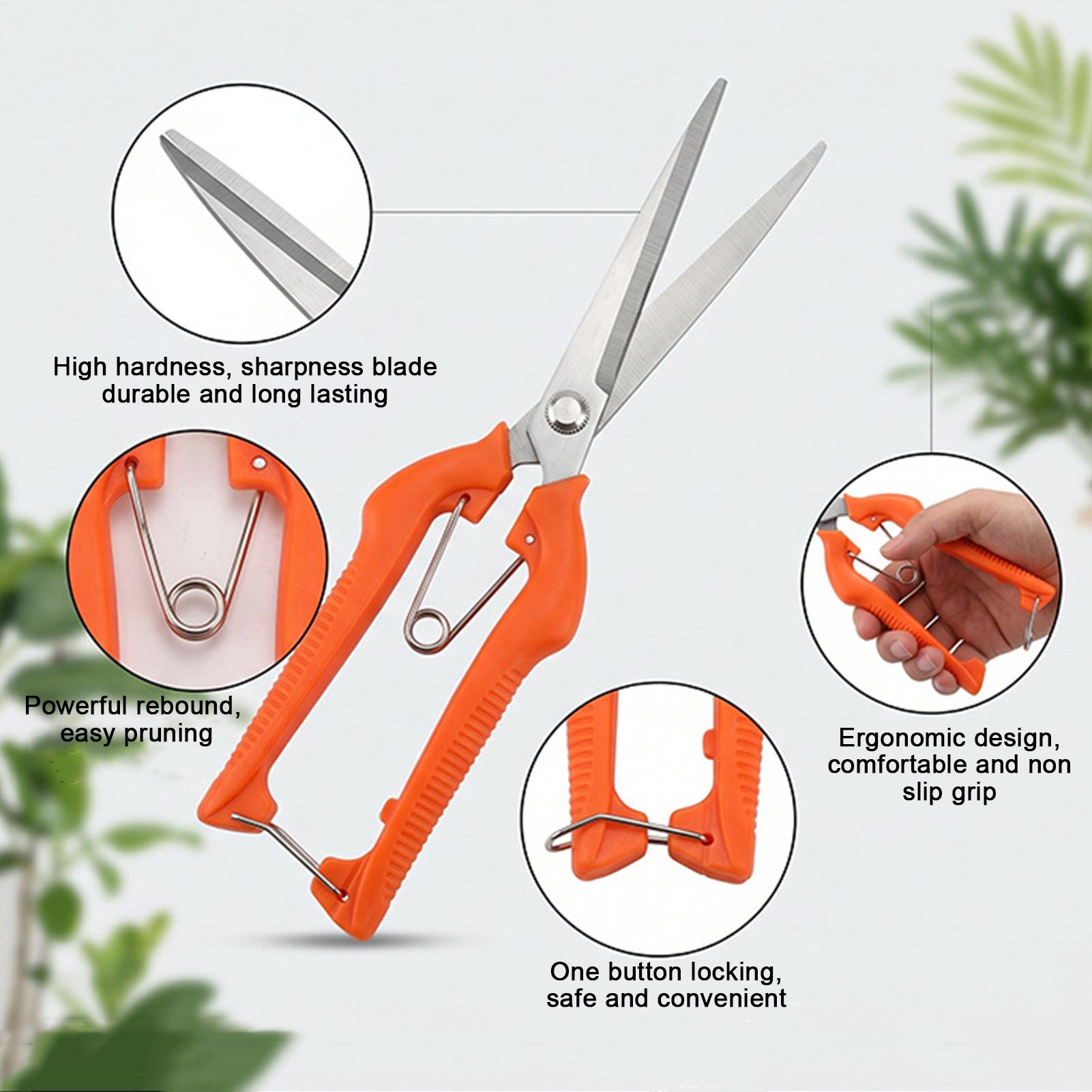 Pruning Shears Grape Scissors  - Bonsai Garden Rake 评论和价格