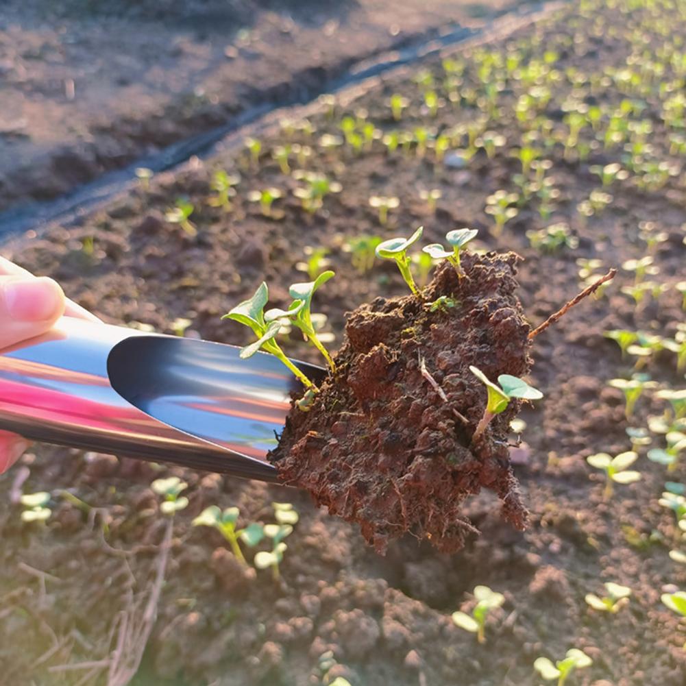 Garden Bucket Tool Steel Garde - Bonsai Garden Rake 评论和价格
