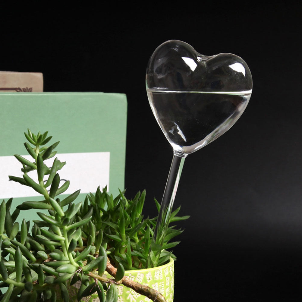 3Pcs Heart Shaped Glass Self W - Bonsai Garden Kit 评论和价格