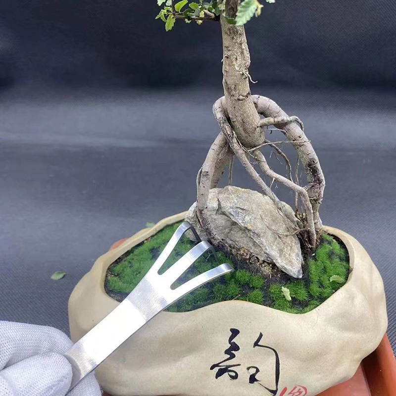 1Pc Stainless Steel Root Rake  - Bonsai Garden Rake 评论和价格