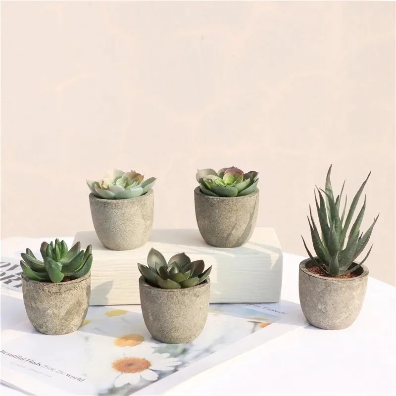 Mini Artificial Aloe Plants Bo - Bonsai Garden Sushi 评论和价格