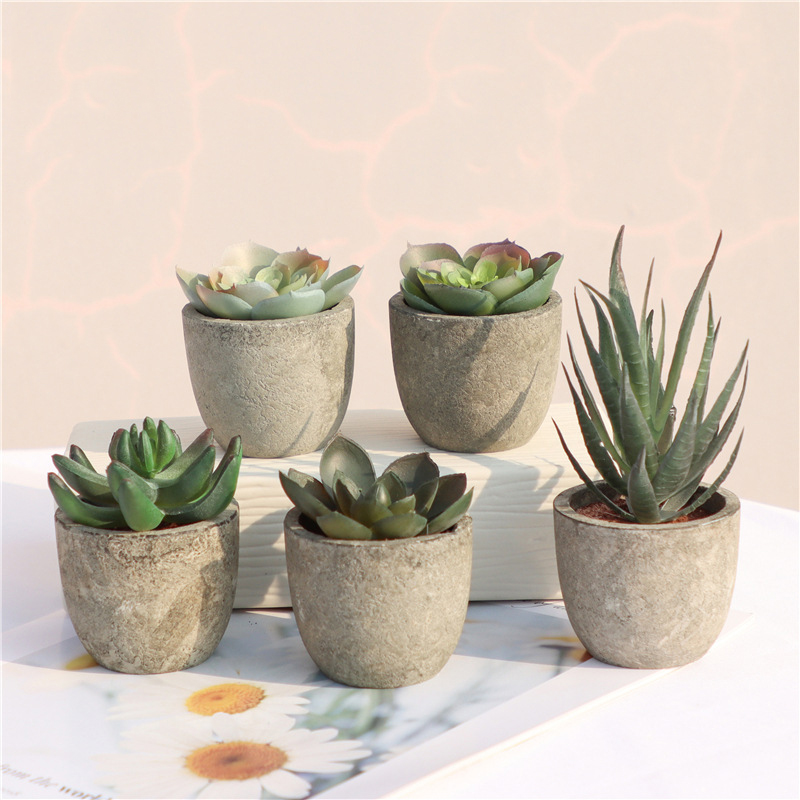Mini Artificial Aloe Plants Bo - Bonsai Garden Sushi 评论和价格