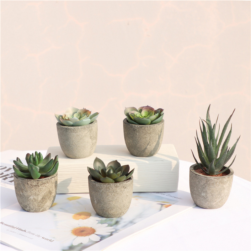 Mini Artificial Aloe Plants Bo - Bonsai Garden Sushi 评论和价格