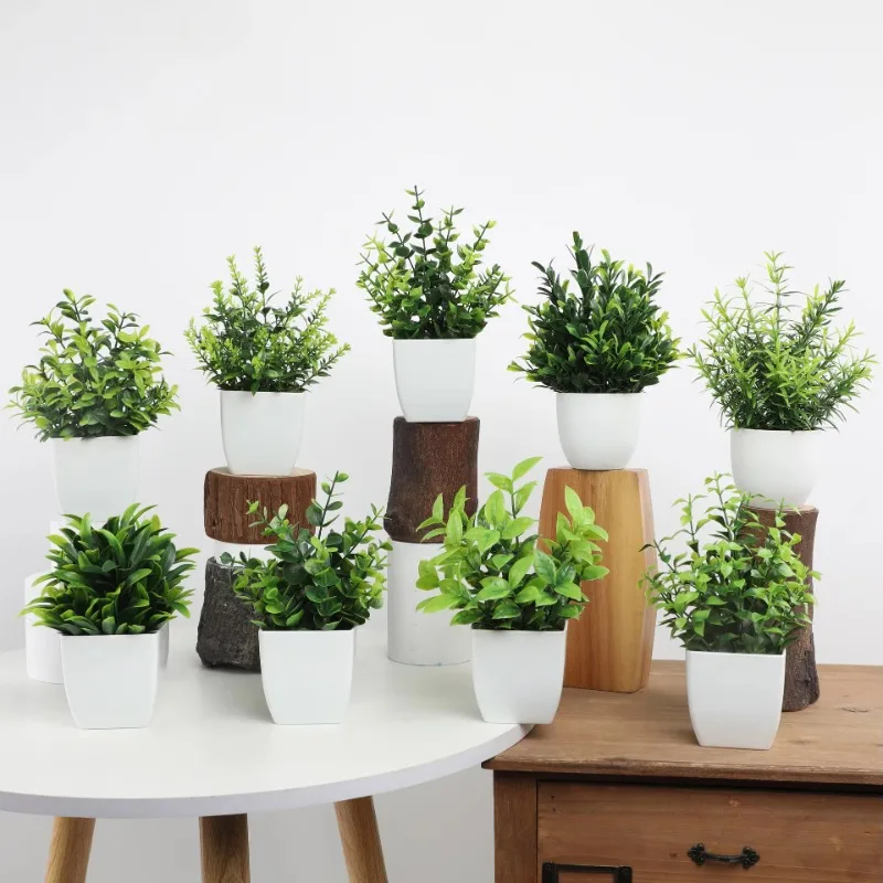 Wholesale OEM/ODM Artificial M - Bonsai Garden Kit 评论和价格