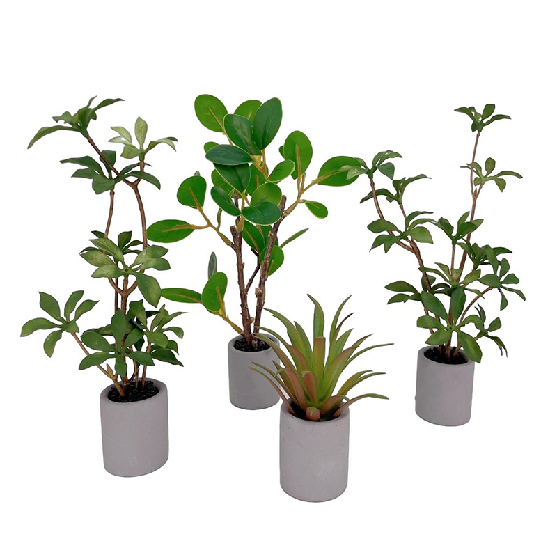 1:6 Dollhouse Miniature Potted - Bonsai Garden Kit 评论和价格