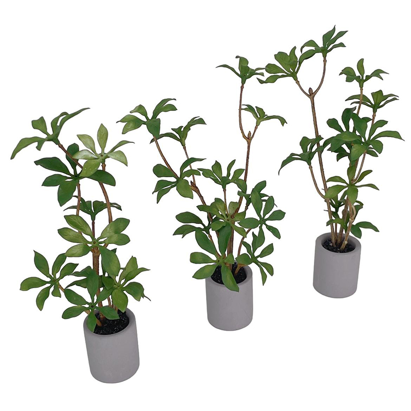 1:6 Dollhouse Miniature Potted - Bonsai Garden Kit 评论和价格