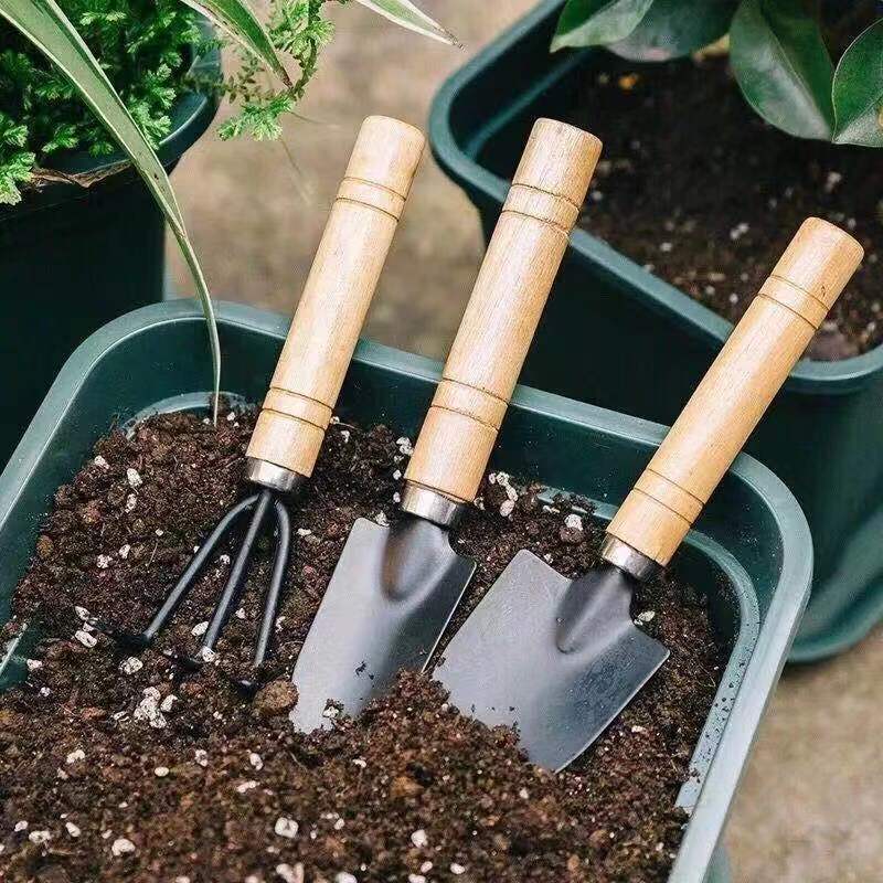 3PC/1Set Mini Gardening Tools  - Soil Scoop Tool 评论和价格