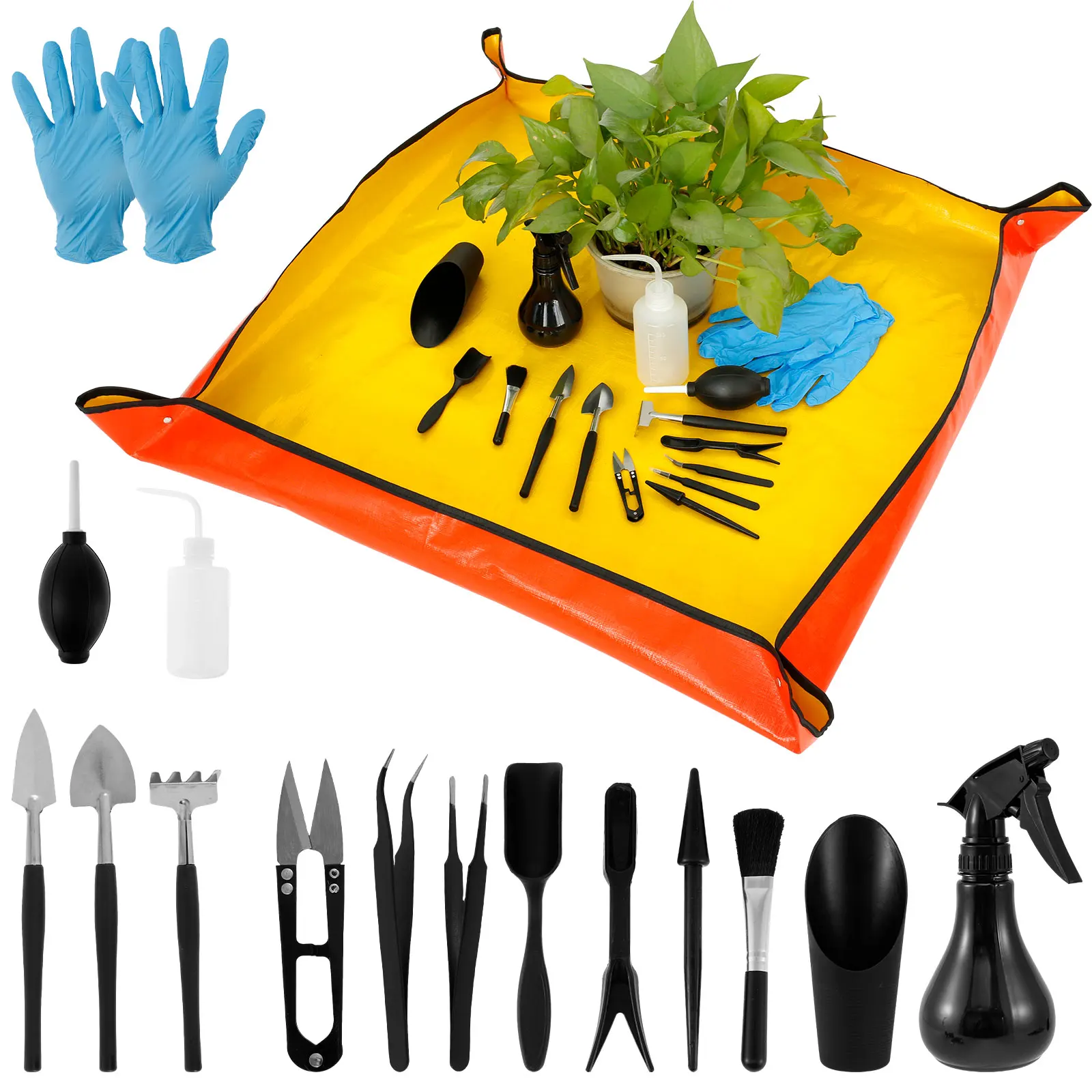 13/16Pcs Garden Succulent Plan - Bonsai Garden Kit 评论和价格