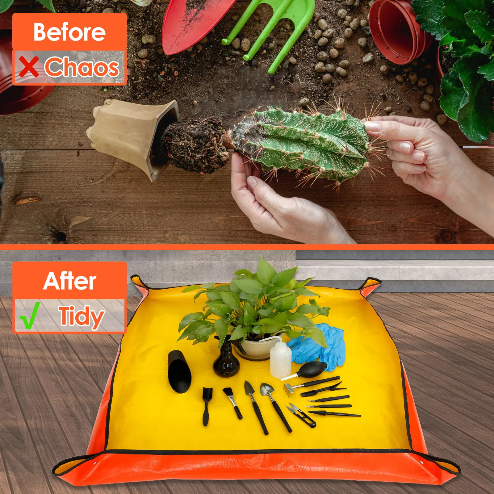 13/16Pcs Garden Succulent Plan - Bonsai Garden Kit 评论和价格