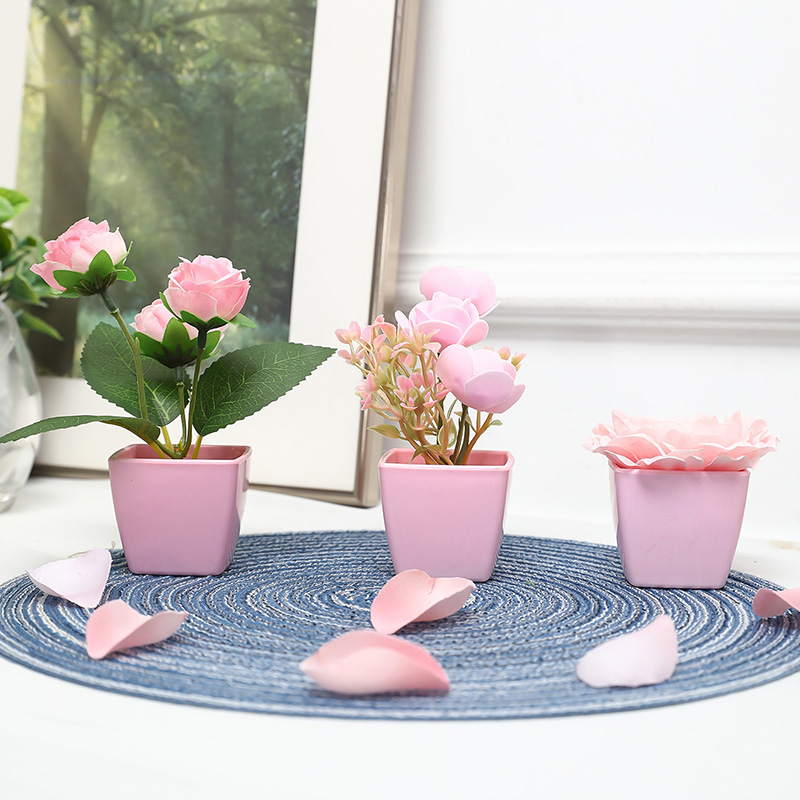 (A set of 3PCS) Simulated Mini - Bonsai Garden Kit 评论和价格