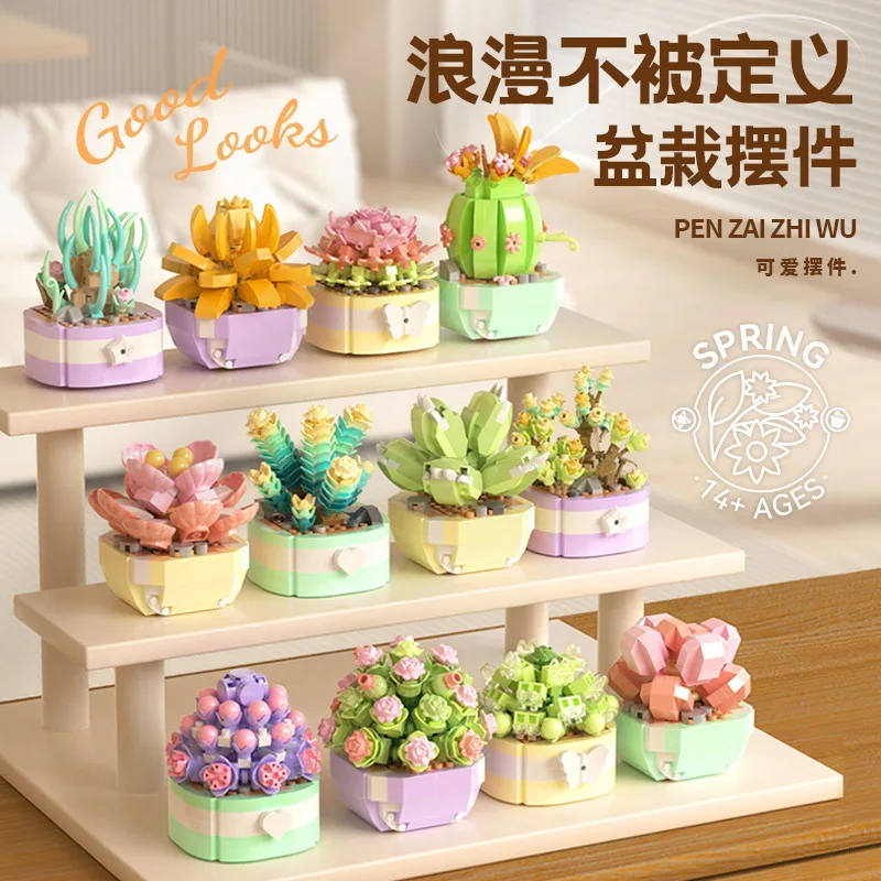 Flower Succulents Building Blo - Bonsai Garden Kit 评论和价格