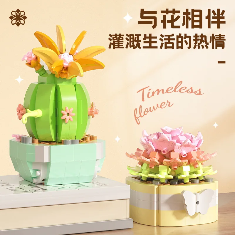 Flower Succulents Building Blo - Bonsai Garden Kit 评论和价格
