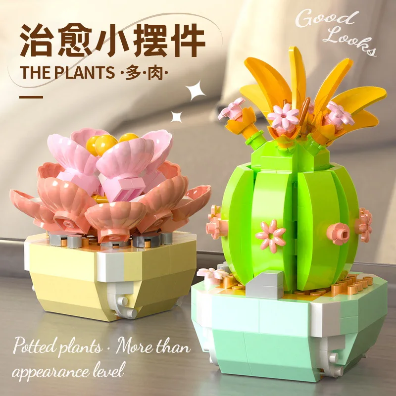 Flower Succulents Building Blo - Bonsai Garden Kit 评论和价格
