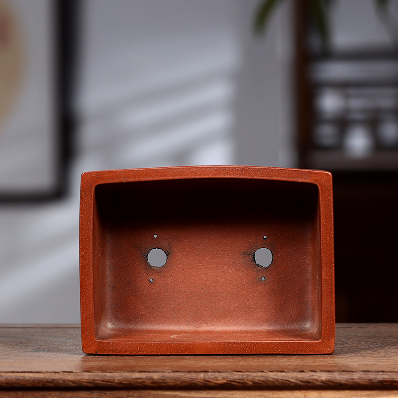 Purple Sand Bonsai Pot, Chines - Bonsai Garden Chinese Garden 评论和价格
