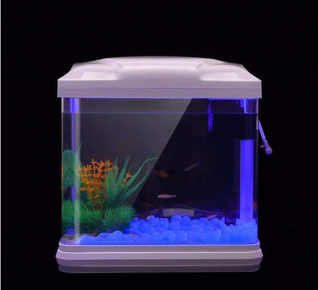 Fish Tank Rocks Glow Blue Pebb - Bonsai Garden Kit 评论和价格