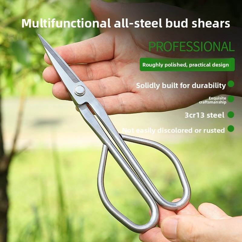 Tender Leaf Scissors Bonsai To - Bonsai Garden Rake 评论和价格