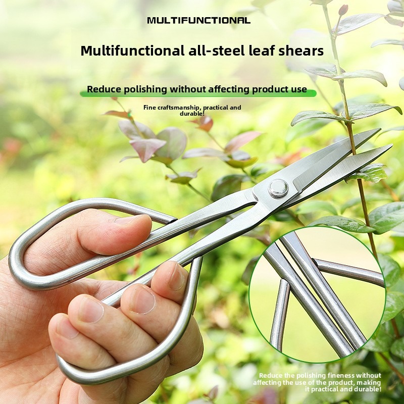 Tender Leaf Scissors Bonsai To - Bonsai Garden Rake 评论和价格