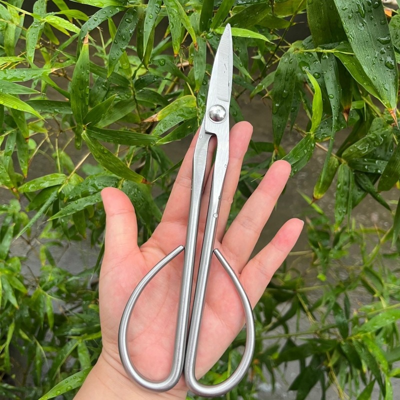 Tender Leaf Scissors Bonsai To - Bonsai Garden Rake 评论和价格