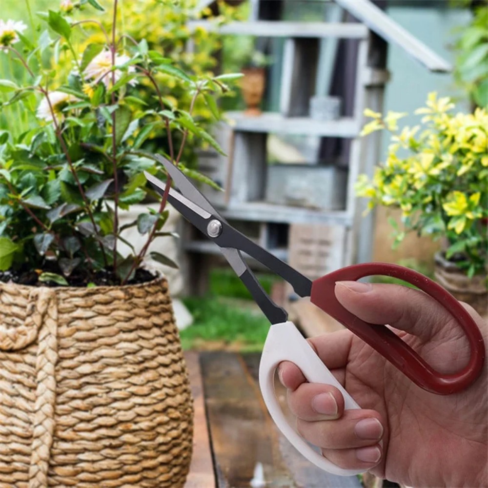 Bonsai Tool Long Handle Scisso - Bonsai Garden Rake 评论和价格