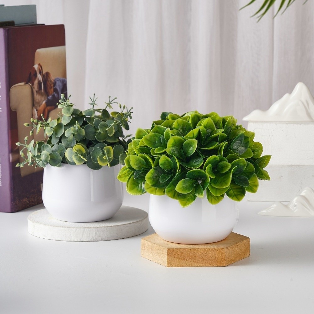 Simulation Plastic Plant Artif - Bonsai Garden Kit 评论和价格