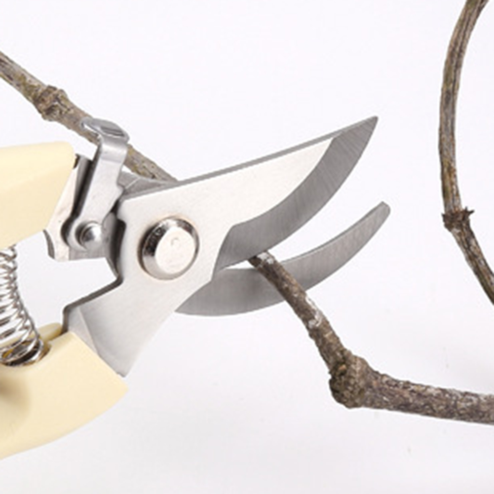 Pruner Shears Hand Tools Bonsa - Bonsai Garden Rake 评论和价格