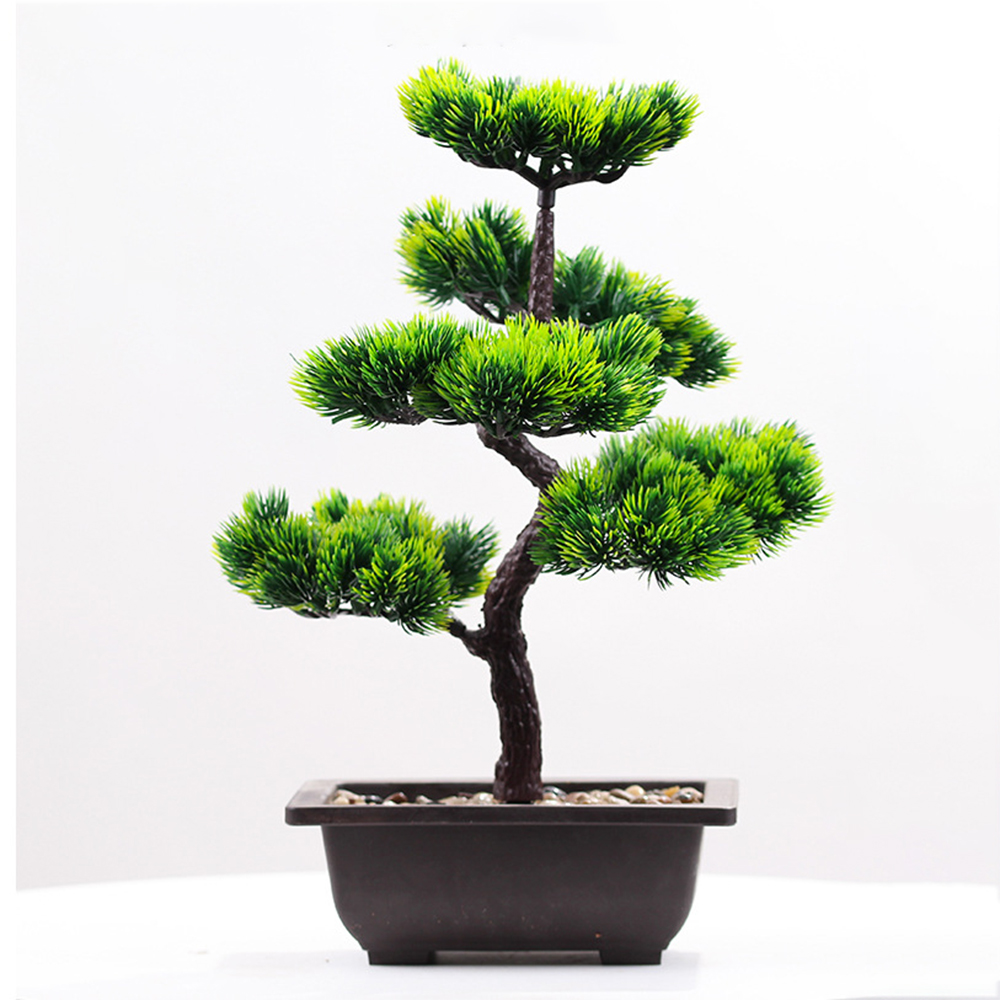 Artificial Plants Beauty Pine  - Bonsai Garden Kit 评论和价格