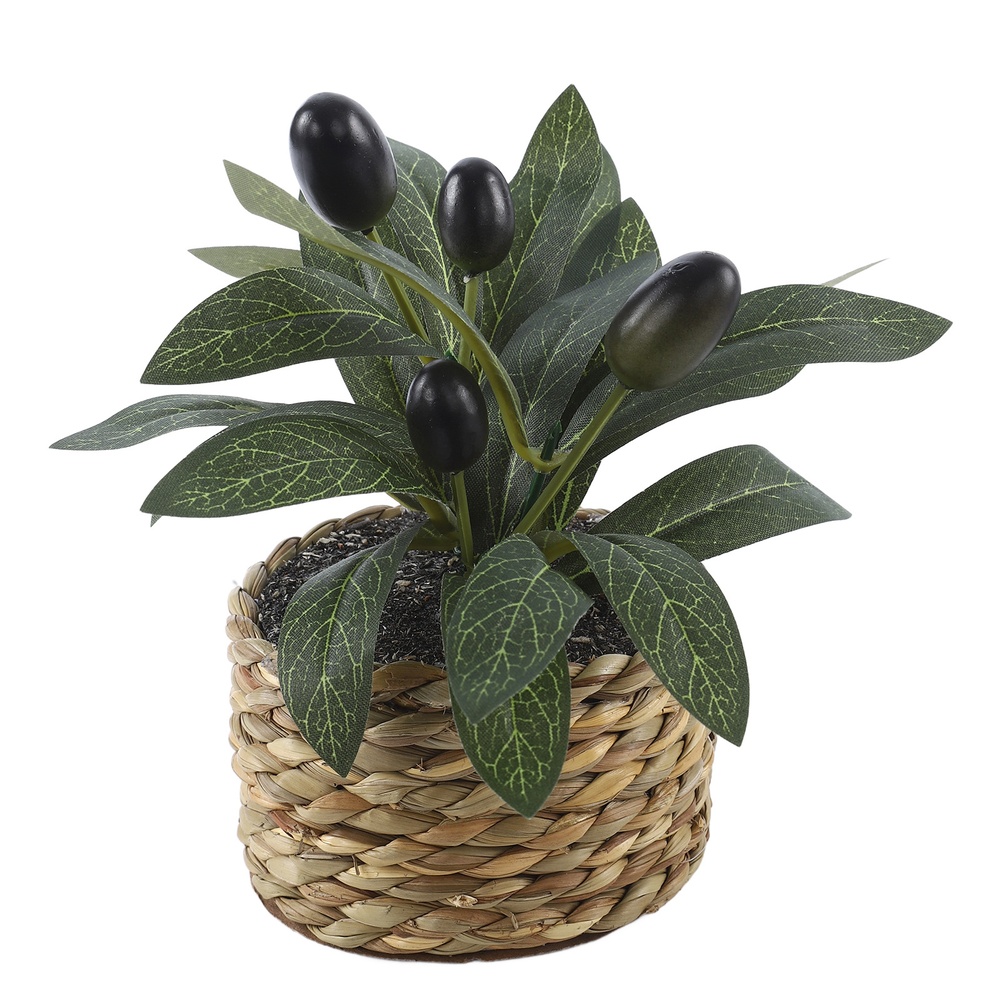 Artificial Plants Pocket Olive - Bonsai Garden Kit 评论和价格