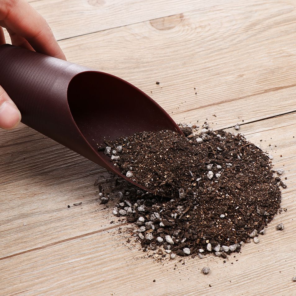1PC Plastic Soil Shovel Cup Fo - Soil Scoop Tool 评论和价格